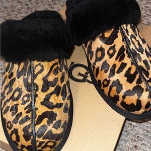 UGG slipper